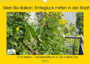 Mein Bio-Balkon: Ernteglück mitten in der Stadt (Wandkalender 2023 DIN A3 quer) von Schattling,  Birgit