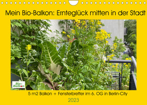 Mein Bio-Balkon: Ernteglück mitten in der Stadt (Wandkalender 2023 DIN A4 quer) von Schattling,  Birgit