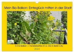 Mein Bio-Balkon: Ernteglück mitten in der Stadt (Wandkalender 2024 DIN A3 quer), CALVENDO Monatskalender von Schattling,  Birgit