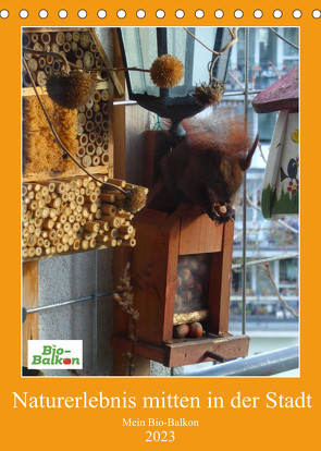 Mein Bio-Balkon: Naturerlebnis mitten in der Stadt (Tischkalender 2023 DIN A5 hoch) von Schattling,  Birgit