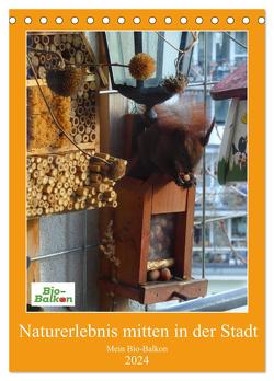 Mein Bio-Balkon: Naturerlebnis mitten in der Stadt (Tischkalender 2024 DIN A5 hoch), CALVENDO Monatskalender von Schattling,  Birgit