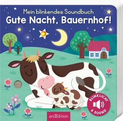 Mein blinkendes Soundbuch – Gute Nacht, Bauernhof! von Dudziuk,  Kasia, Höck,  Maria