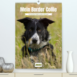 Mein Border Collie (Premium, hochwertiger DIN A2 Wandkalender 2023, Kunstdruck in Hochglanz) von Löwer,  Sabine