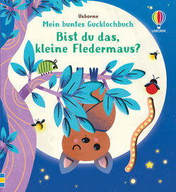 Mein buntes Gucklochbuch: Bist du das, kleine Fledermaus? von Kimpimaki,  Essi, Taplin,  Sam