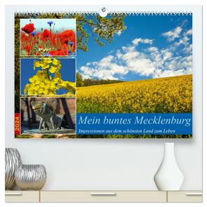 Mein buntes Mecklenburg (hochwertiger Premium Wandkalender 2024 DIN A2 quer), Kunstdruck in Hochglanz von Felix,  Holger