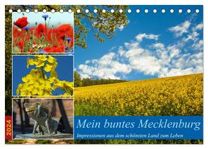 Mein buntes Mecklenburg (Tischkalender 2024 DIN A5 quer), CALVENDO Monatskalender von Felix,  Holger