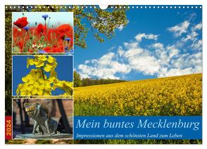 Mein buntes Mecklenburg (Wandkalender 2024 DIN A3 quer), CALVENDO Monatskalender von Felix,  Holger