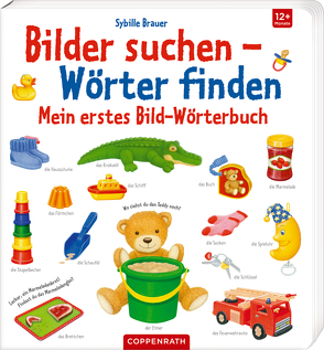 Mein erstes Bild-Wörterbuch von Brauer,  Sybille