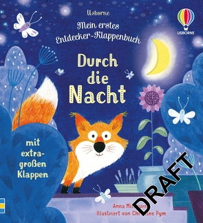 Mein erstes Entdecker-Klappenbuch: Durch die Nacht von Milbourne,  Anna, Pym,  Christine