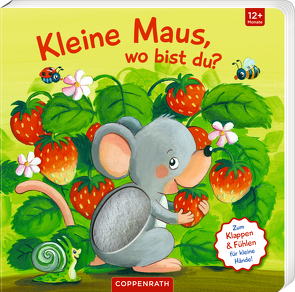 Mein erstes Guckloch-Fühlbuch: Kleine Maus, wo bist du? von Kraushaar,  Sabine
