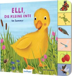 Mein erstes Jahreszeitenbuch: Elli, die kleine Ente von Barnard,  Lucy, Kiel,  Anja