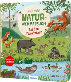 Mein erstes Natur-Wimmelbuch: Bei den Tierkindern von Barnard,  Lucy, Schumann,  Sibylle