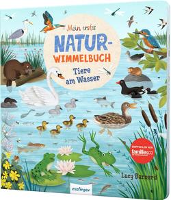 Mein erstes Natur-Wimmelbuch: Tiere am Wasser von Barnard,  Lucy, Schumann,  Sibylle