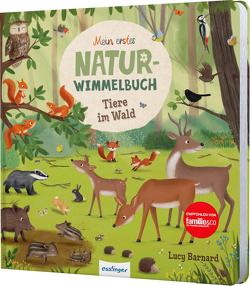 Mein erstes Natur-Wimmelbuch: Tiere im Wald von Barnard,  Lucy, Schumann,  Sibylle