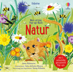 Mein erstes Pop-up-Buch: Natur von Blasco Lopez,  Julio Antonio, Milbourne,  Anna
