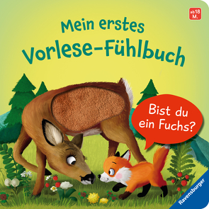 Mein erstes Vorlese-Fühlbuch: Bist du ein Fuchs? von Blanck,  Iris, Orso,  Kathrin-Lena