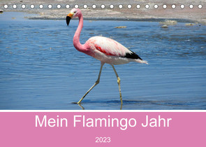 Mein Flamingo Jahr (Tischkalender 2023 DIN A5 quer) von Marlena Büchler,  Piera