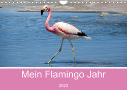 Mein Flamingo Jahr (Wandkalender 2023 DIN A4 quer) von Marlena Büchler,  Piera