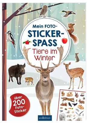 Mein Foto-Stickerspaß – Tiere im Winter von Schindler,  Eva