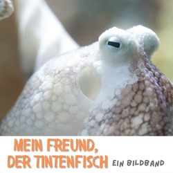 Mein Freund, der Tintenfisch von Gruber,  Stefan