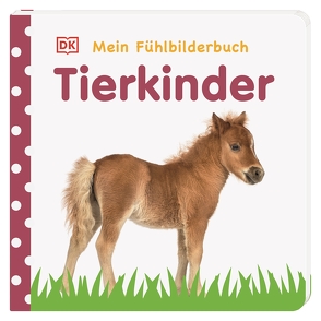 Mein Fühlbilderbuch. Tierkinder von Jaekel,  Franziska