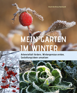 Mein Garten im Winter von Bross-Burkhardt,  Brunhilde