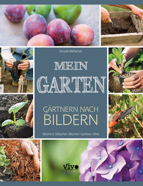 Mein Garten – nach Bildern von Vivo Buch UG