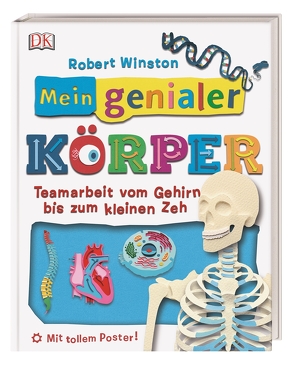 Mein genialer Körper von Winston,  Robert