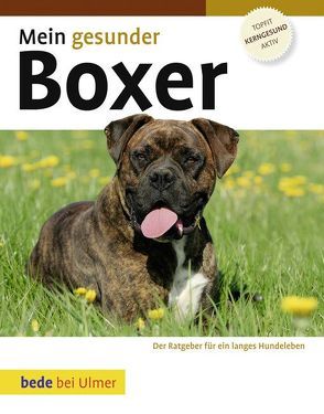 Mein gesunder Boxer von Ackerman,  Lowell