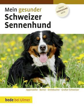 Mein gesunder Schweizer Sennenhund von Kieselbach,  Dominik