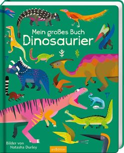 Mein großes Buch – Dinosaurier von Durley,  Natasha