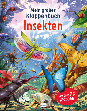Mein großes Klappenbuch – Insekten von Green,  Rod, Love,  Mike