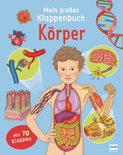 Mein großes Klappenbuch – Körper von Barsotti,  Eleonora