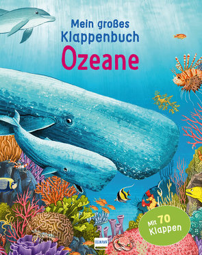 Mein großes Klappenbuch – Ozeane von Bernstein,  Galia, Ganeri,  Anita