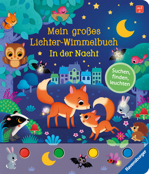 Mein großes Lichter-Wimmelbuch: In der Nacht von Grimm,  Sandra, Iossa,  Federica