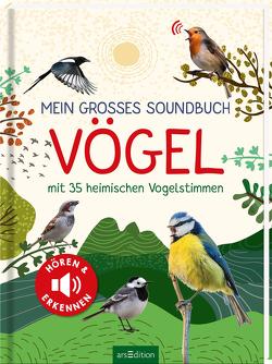 Mein großes Soundbuch Vögel von Wagner,  Eva