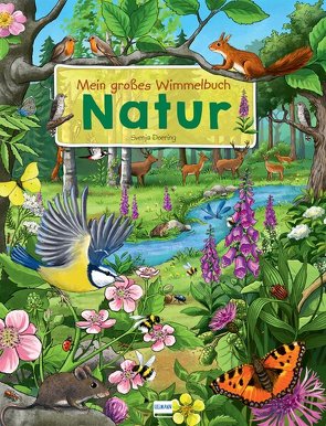 Mein großes Wimmelbuch Natur von Doering,  Svenja