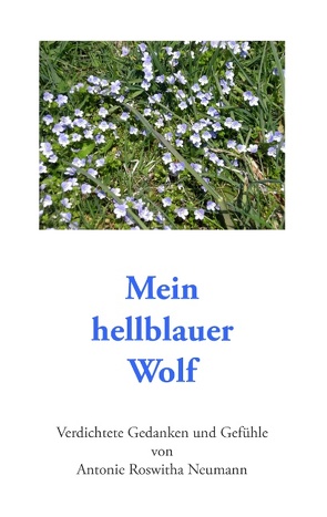 Mein hellblauer Wolf von Neumann,  Antonie Roswitha