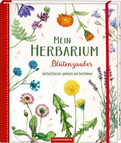 Mein Herbarium: Blütenzauber von Baus,  Lars, Zysk,  Stefanie