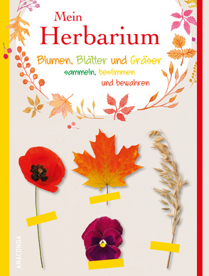 Mein Herbarium