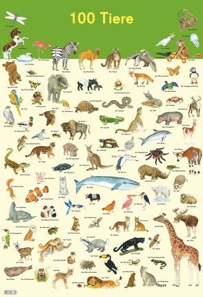 Mein Lernposter: 100 Tiere von Henkel,  Christine