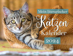 Mein Literarischer Katzenkalender 2024