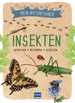 Mein Naturführer – Insekten von Bihan,  Maud, Japiot,  Xavier