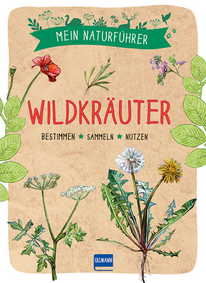 Mein Naturführer – Wildkräuter von Bihan,  Maud, Couplan,  François