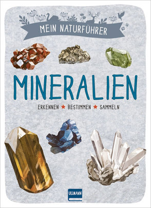 Mein Naturführer – Mineralien von Bihan,  Maud, Japiot,  Xavier