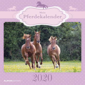 Mein Pferdekalender 2020 – Broschürenkalender (30 x 60 geöffnet) – Wandkalender – Tierkalender – Wandplaner von ALPHA EDITION