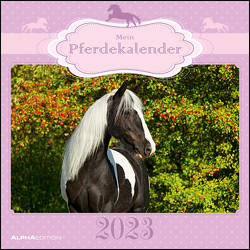 Mein Pferdekalender 2023 – Broschürenkalender 30×30 cm (30×60 geöffnet) – Kalender mit Platz für Notizen – Bildkalender – Wandplaner – Wandkalender