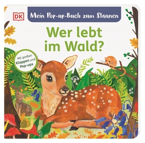 Mein Pop-up-Buch zum Staunen. Wer lebt im Wald? von Biederstädt,  Maike, Grimm,  Sandra, Sofroniou,  Miranda