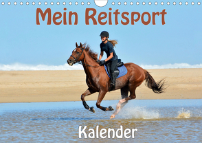 Mein Reitsport Kalender (Wandkalender 2021 DIN A4 quer) von van Wyk - www.germanpix.net,  Anke