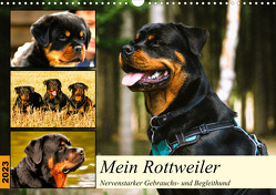 Mein Rottweiler. Nervenstarker Gebrauchs- und Begleithund (Wandkalender 2023 DIN A3 quer) von Hurley,  Rose